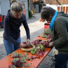 IMG_9312 - Kopie_JPG-1380550763