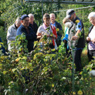IMG_9284_JPG-1380551486