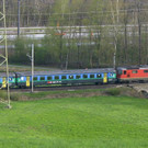 Rex 1_JPG-1380553915