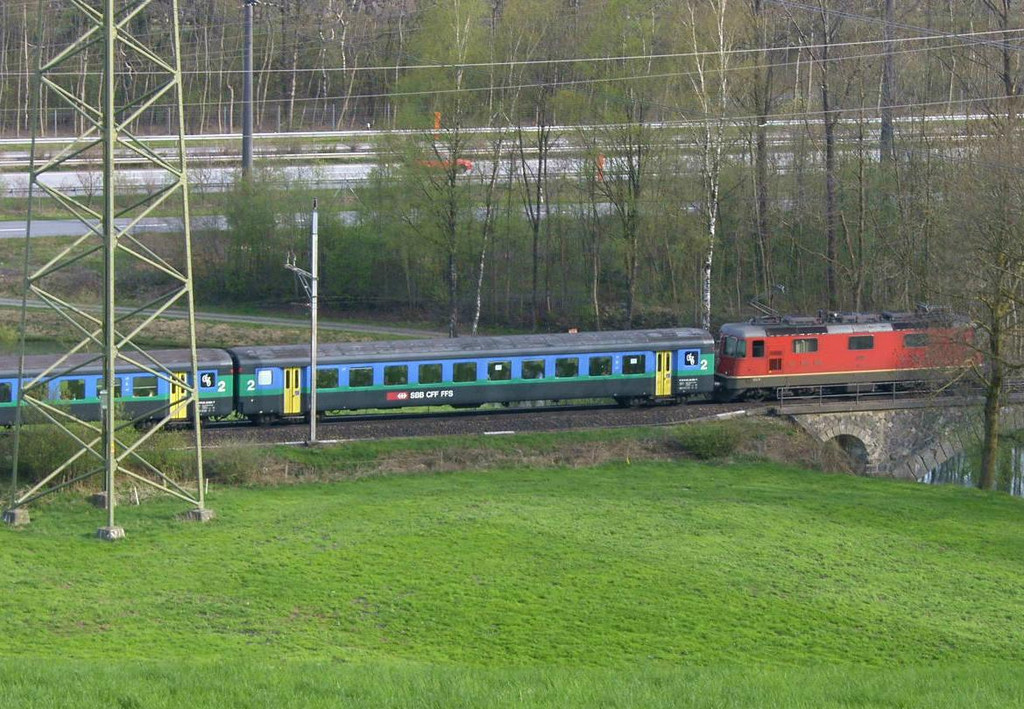 Rex 1_JPG-1380553915