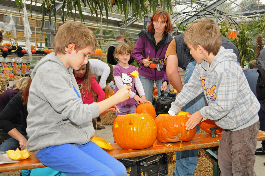 Mahlerhof 29-09-2013 9_jpg-1380553638