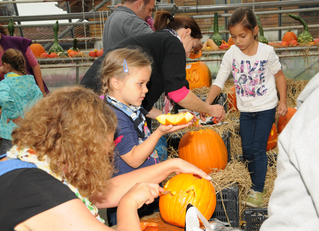 Mahlerhof 29-09-2013 27_jpg-1380553680