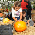 Mahlerhof 29-09-2013 75_jpg-1380553831