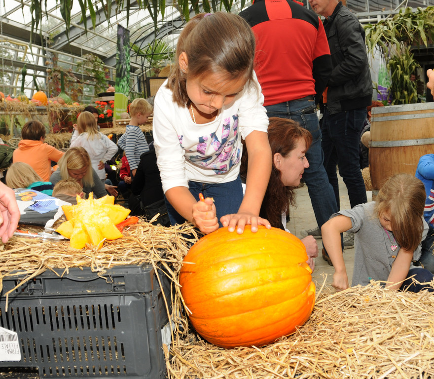 Mahlerhof 29-09-2013 75_jpg-1380553831