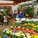 Mahlerhof 29-09-2013 87_jpg-1380553841