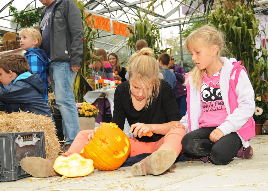 Mahlerhof 29-09-2013 92_jpg-1380553850