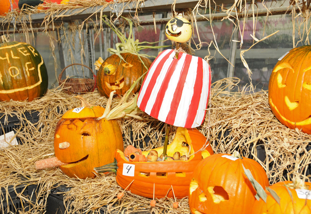 Mahlerhof 29-09-2013 97_jpg-1380553880