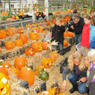 Mahlerhof 29-09-2013 101_jpg-1380553911