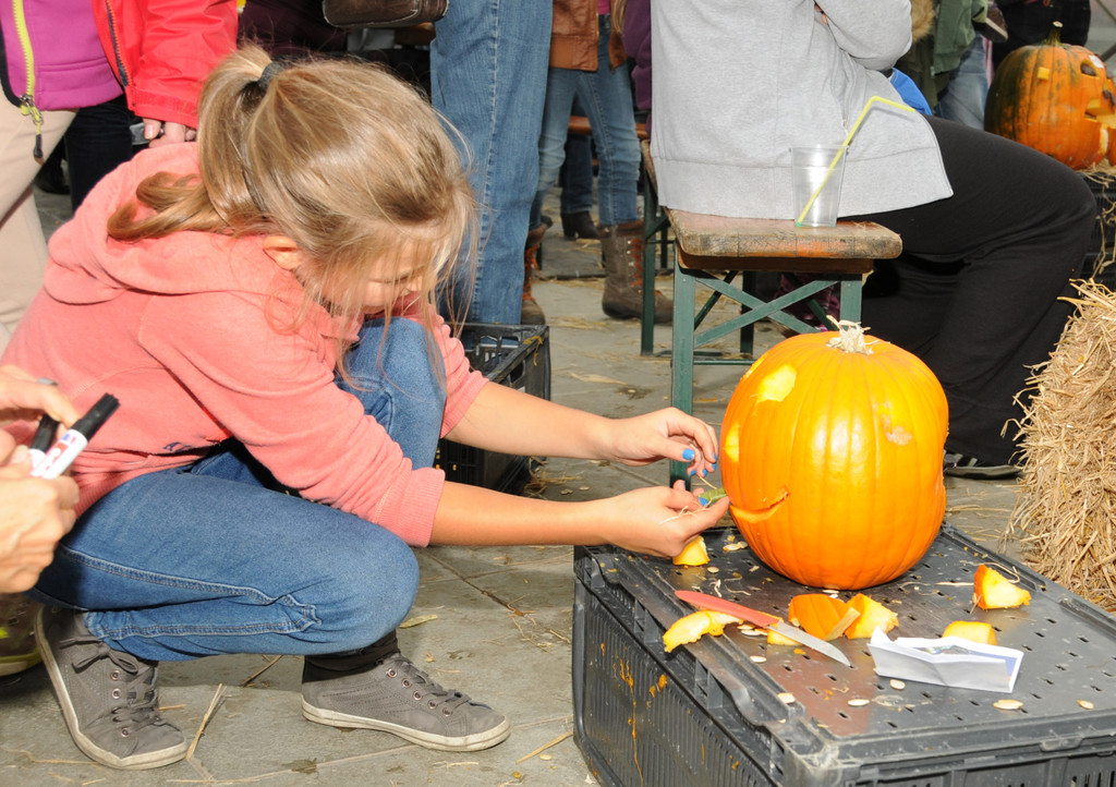 Mahlerhof 29-09-2013 123_jpg-1380554014