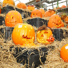 Mahlerhof 29-09-2013 124_jpg-1380554026