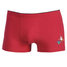 PalmersMen_Winterwonderland_Pant_XMas.jpg