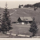 Pf__nderdohle 1950.jpg