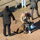 30092013tatortde05014aktivnews24.jpg