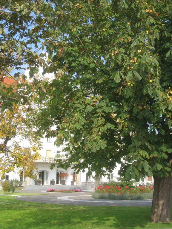 Seehotel Kulinarium KALENDER Herbst 2013 SYMBOL _11__jpg-1380641691