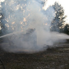 IMG_7241.JPG