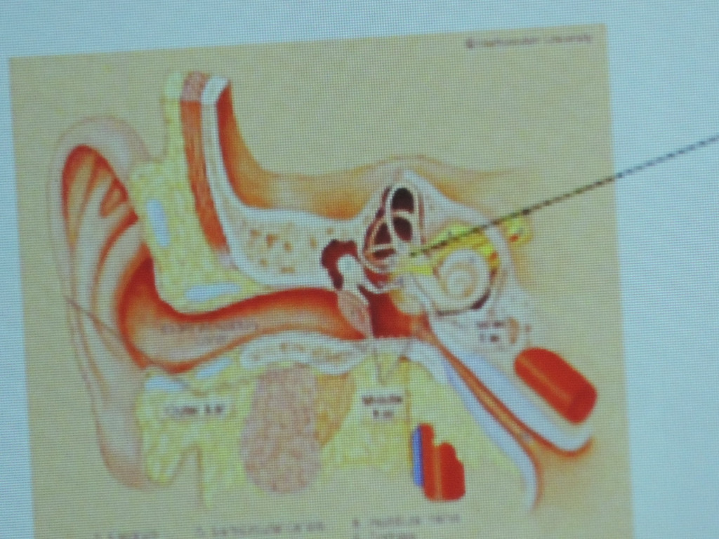 DSCN7033_JPG-1380666365