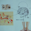 DSCN7025_JPG-1380666351