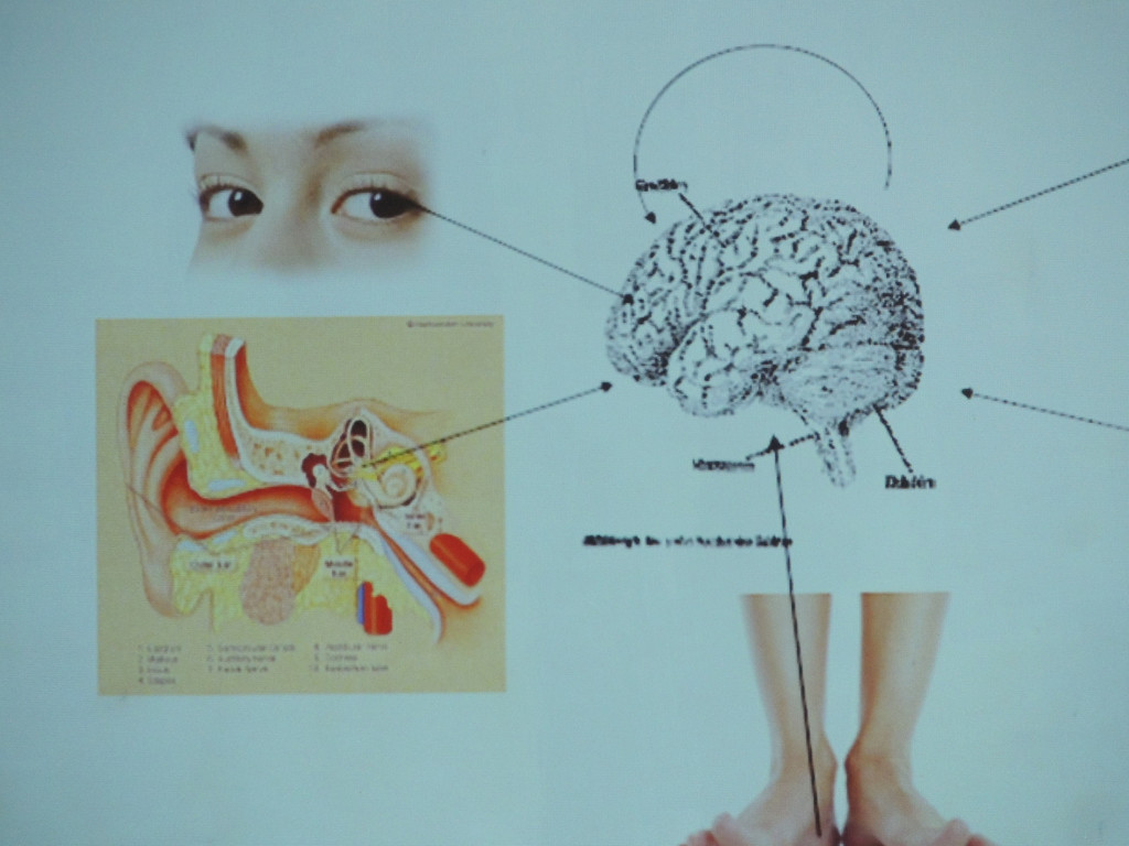 DSCN7025_JPG-1380666351