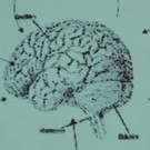 DSCN7032_JPG-1380666361