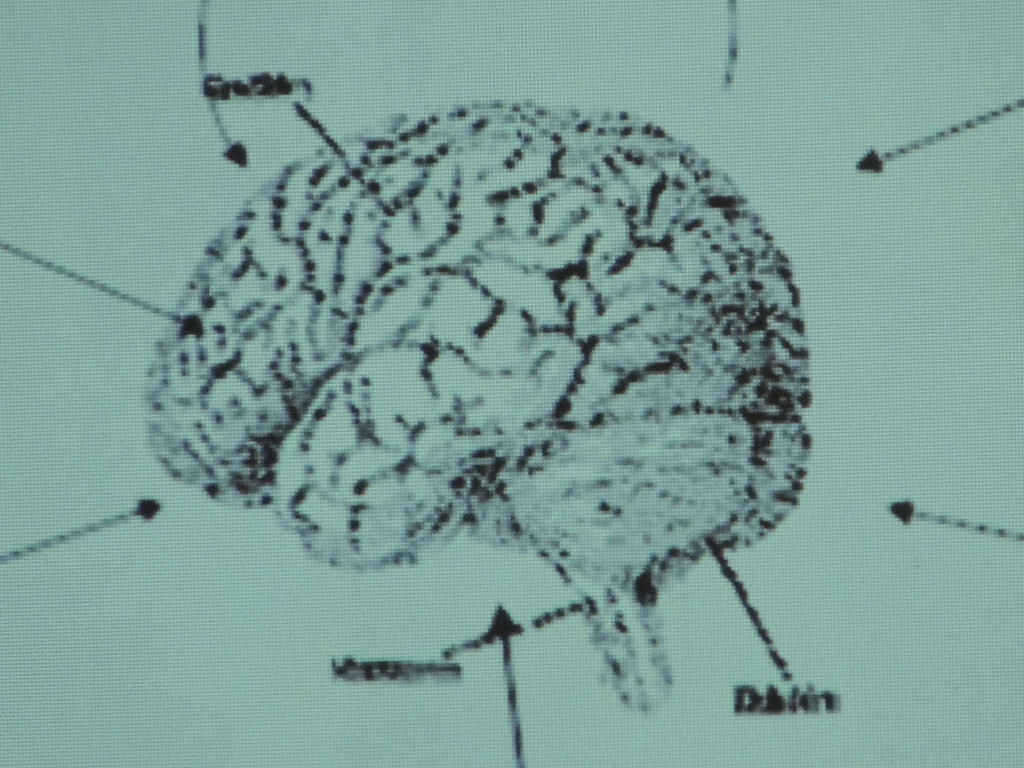 DSCN7032_JPG-1380666361