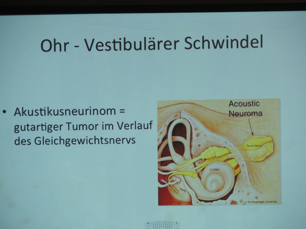 DSCN7048_JPG-1380666382