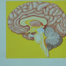 DSCN7050_JPG-1380666386