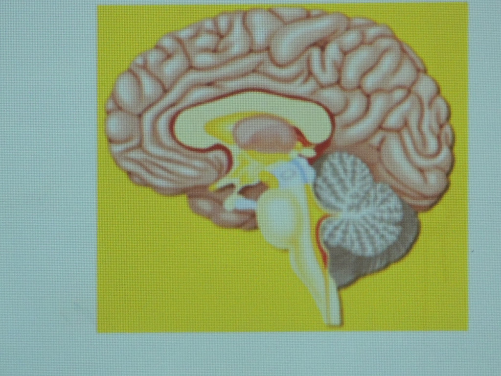 DSCN7050_JPG-1380666386