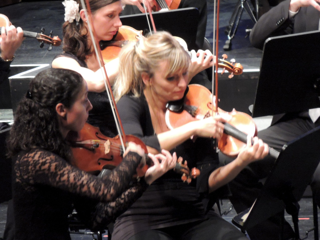 DSCN6227_JPG-1380667503