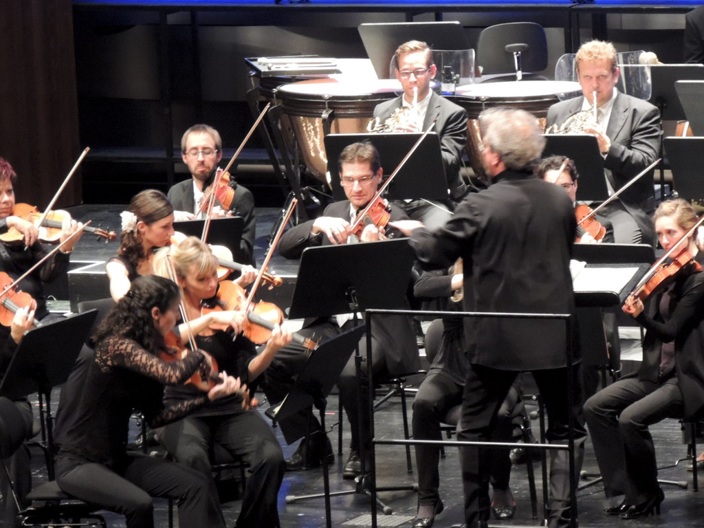 DSCN6223_JPG-1380667488