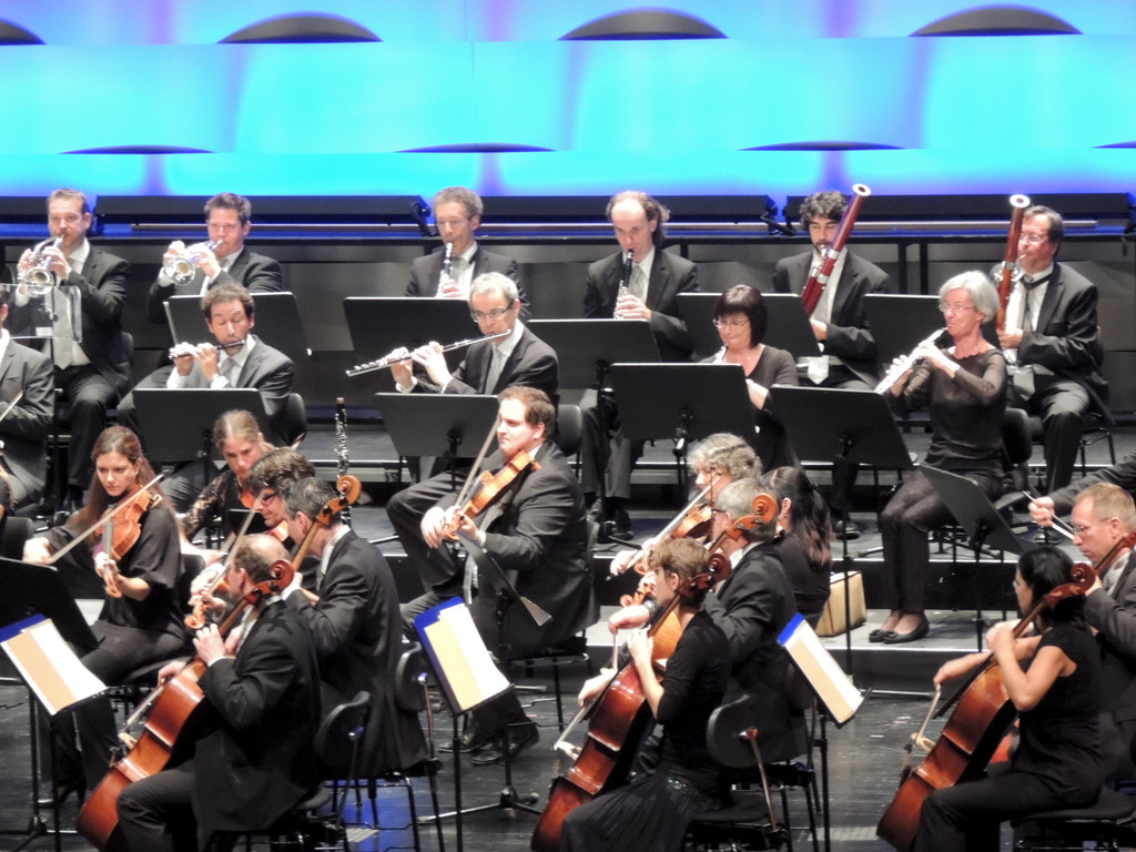 DSCN6226_JPG-1380667499