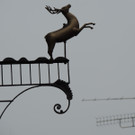 DSCN6354_JPG-1380669188