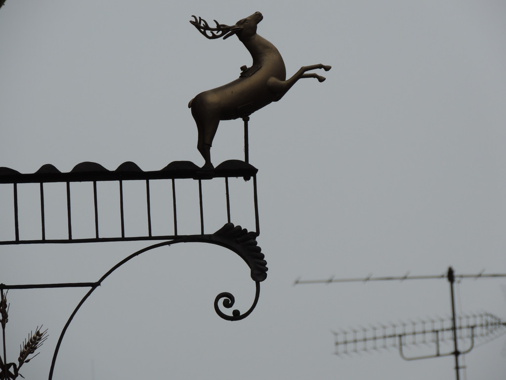 DSCN6354_JPG-1380669188