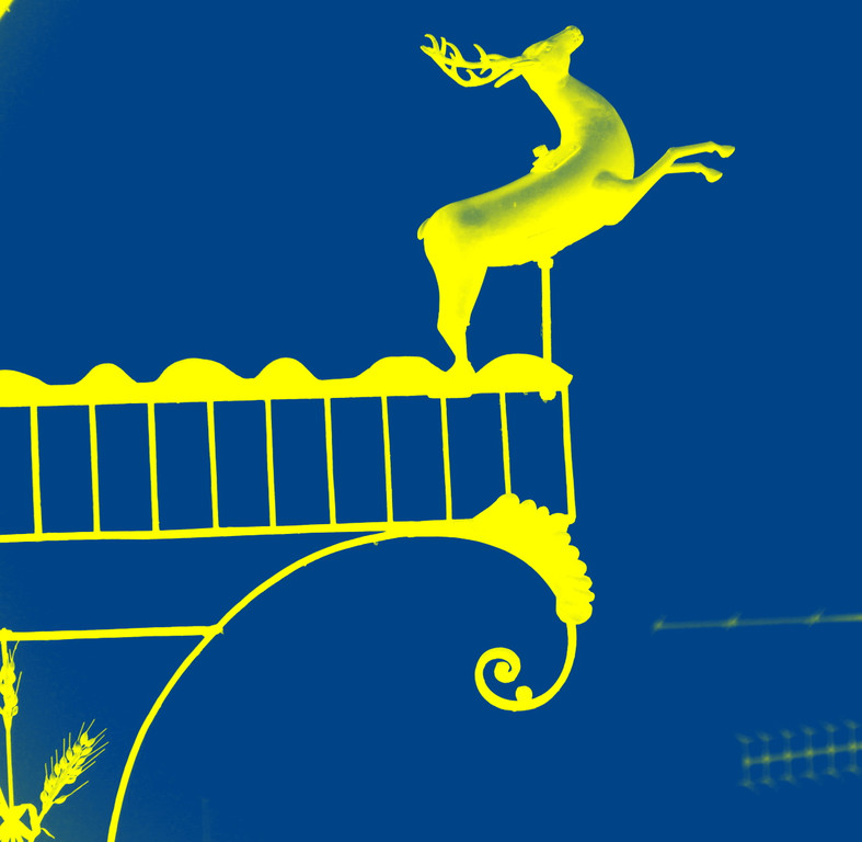 DSCN6354-001_JPG-1380669190