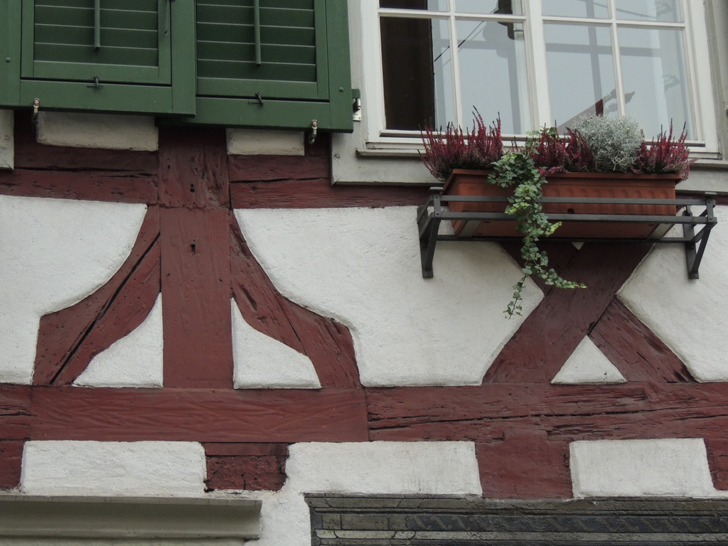 DSCN6361_JPG-1380669206