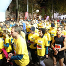 7b3a8105.jpg