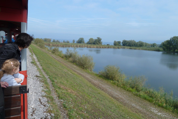 P1050423_JPG-1380720975