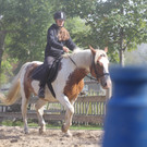 IMG_1804_JPG-1380733498