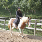 IMG_1805_JPG-1380733540
