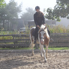 IMG_1808_JPG-1380733585