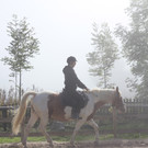 IMG_1810_jpg-1380733605