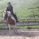 IMG_1811_JPG-1380733638