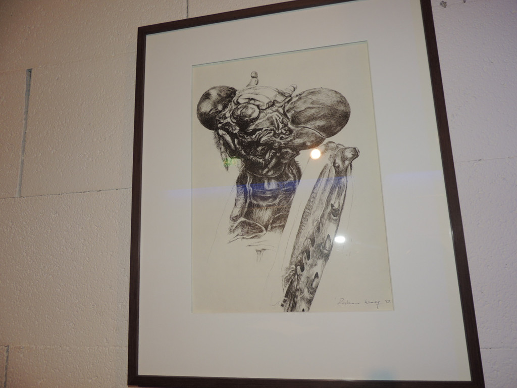 DSCN5634_JPG-1380753360