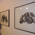 DSCN5642_JPG-1380753384