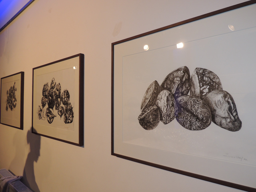 DSCN5642_JPG-1380753384