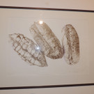 DSCN5646_JPG-1380753396