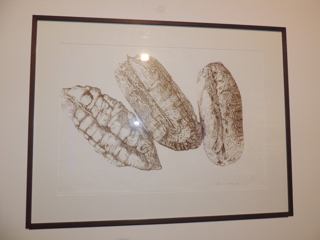 DSCN5646_JPG-1380753396