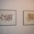 DSCN5641_JPG-1380753380