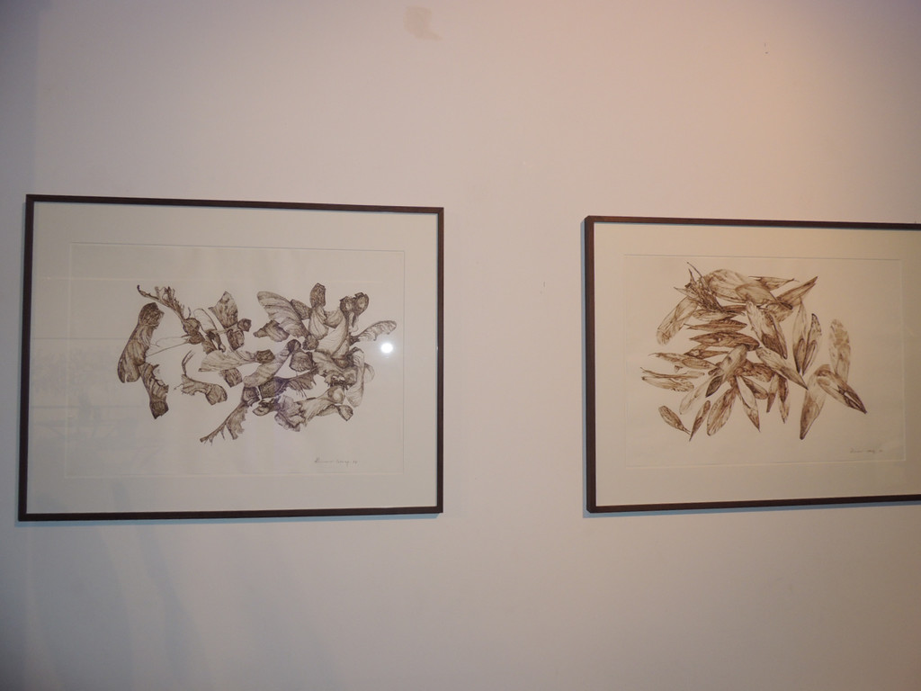 DSCN5641_JPG-1380753380