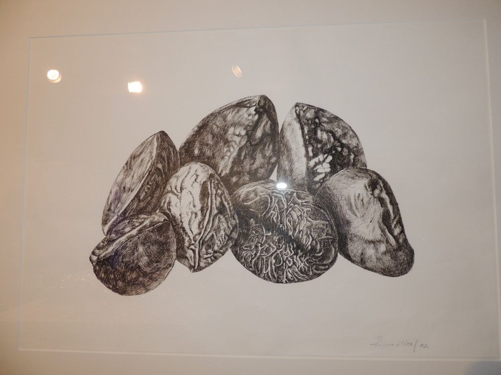 DSCN5643_JPG-1380753388