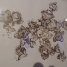 DSCN5648_JPG-1380753400